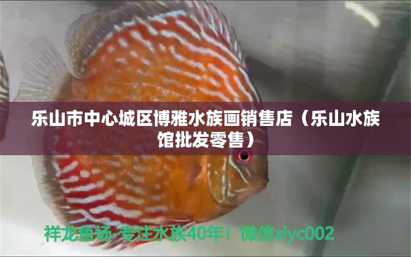 樂山市中心城區(qū)博雅水族畫銷售店（樂山水族館批發(fā)零售）