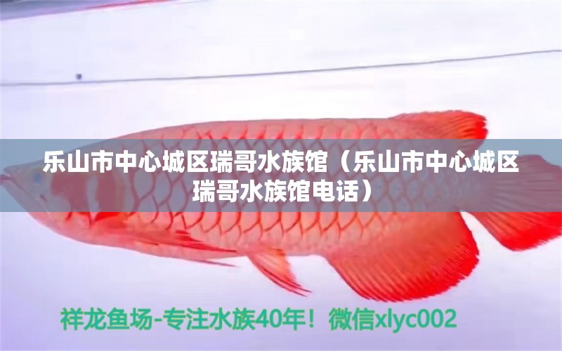 樂山市中心城區(qū)瑞哥水族館（樂山市中心城區(qū)瑞哥水族館電話）