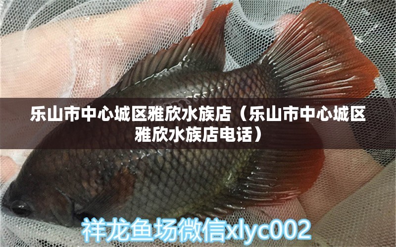 樂山市中心城區(qū)雅欣水族店（樂山市中心城區(qū)雅欣水族店電話）