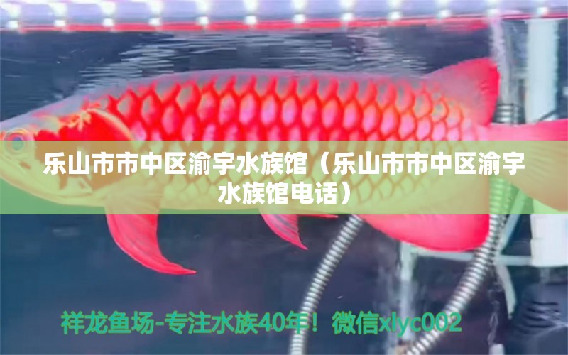 樂山市市中區(qū)渝宇水族館（樂山市市中區(qū)渝宇水族館電話）