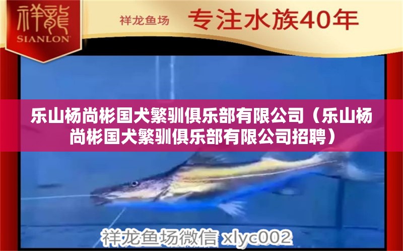 樂山楊尚彬國(guó)犬繁馴俱樂部有限公司（樂山楊尚彬國(guó)犬繁馴俱樂部有限公司招聘）