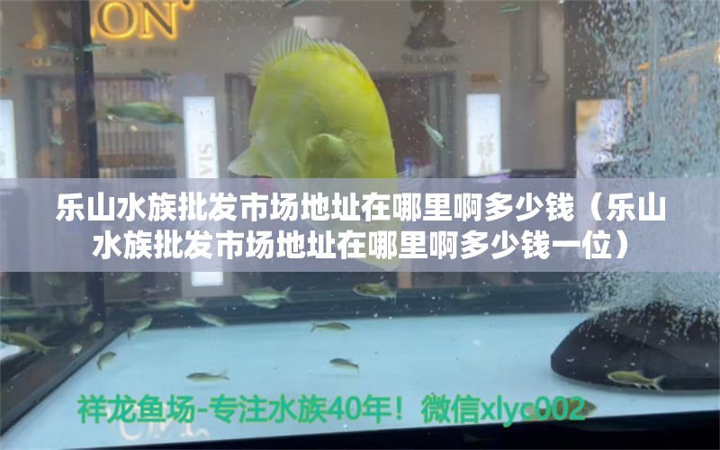 樂山水族批發(fā)市場(chǎng)地址在哪里啊多少錢（樂山水族批發(fā)市場(chǎng)地址在哪里啊多少錢一位） 觀賞魚水族批發(fā)市場(chǎng)