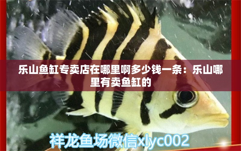 樂山魚缸專賣店在哪里啊多少錢一條：樂山哪里有賣魚缸的 廣州水族批發(fā)市場(chǎng) 第1張