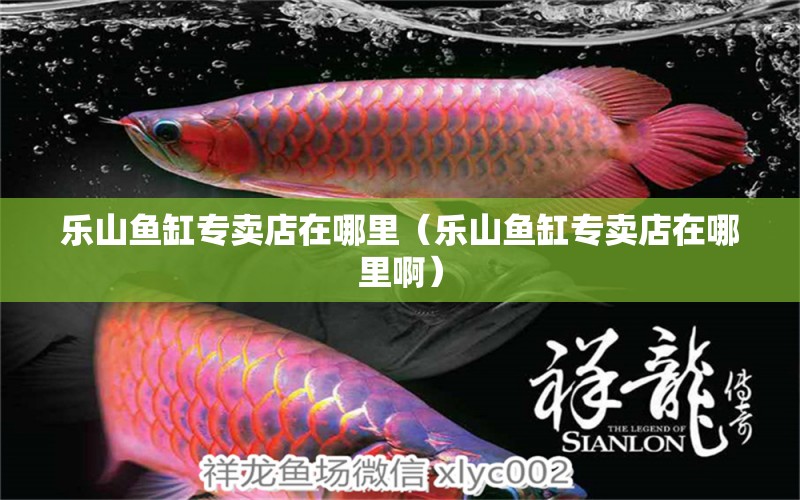 樂山魚缸專賣店在哪里（樂山魚缸專賣店在哪里?。?其他品牌魚缸