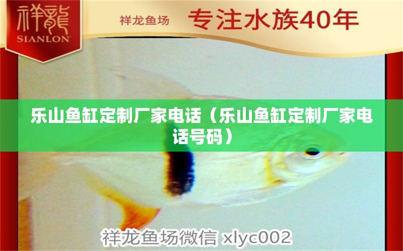 樂(lè)山魚(yú)缸定制廠(chǎng)家電話(huà)（樂(lè)山魚(yú)缸定制廠(chǎng)家電話(huà)號(hào)碼） 祥龍水族醫(yī)院