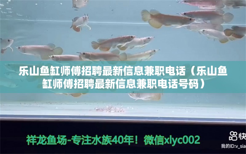 樂山魚缸師傅招聘最新信息兼職電話（樂山魚缸師傅招聘最新信息兼職電話號碼） iwish愛唯希品牌魚缸