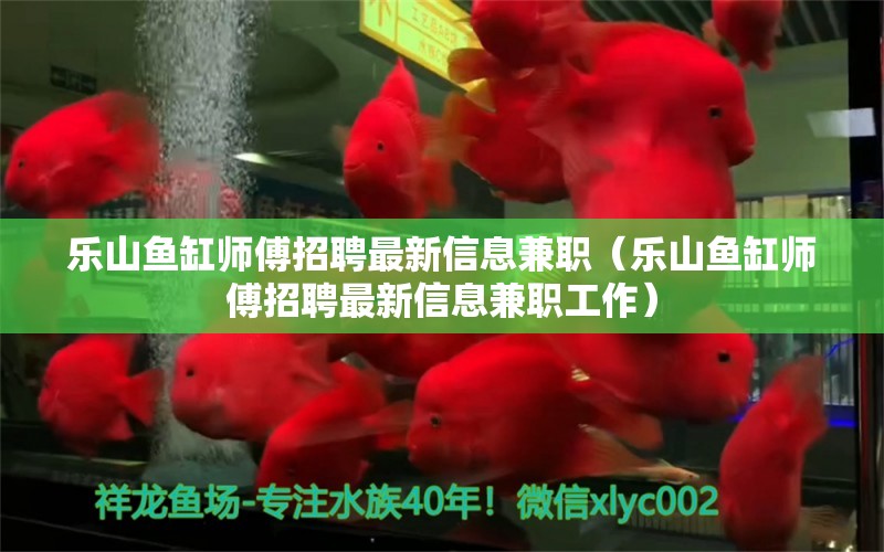 樂(lè)山魚(yú)缸師傅招聘最新信息兼職（樂(lè)山魚(yú)缸師傅招聘最新信息兼職工作）