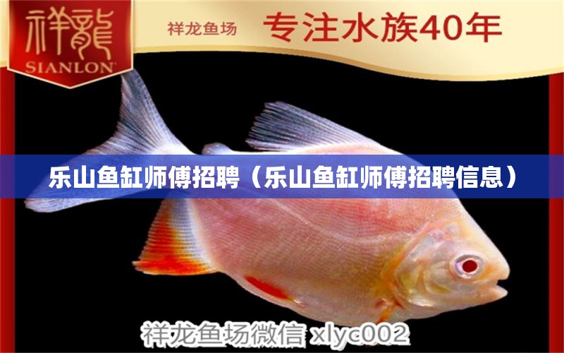 樂山魚缸師傅招聘（樂山魚缸師傅招聘信息） 可麗愛魚缸