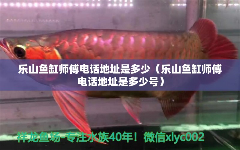 樂(lè)山魚(yú)缸師傅電話地址是多少（樂(lè)山魚(yú)缸師傅電話地址是多少號(hào)）