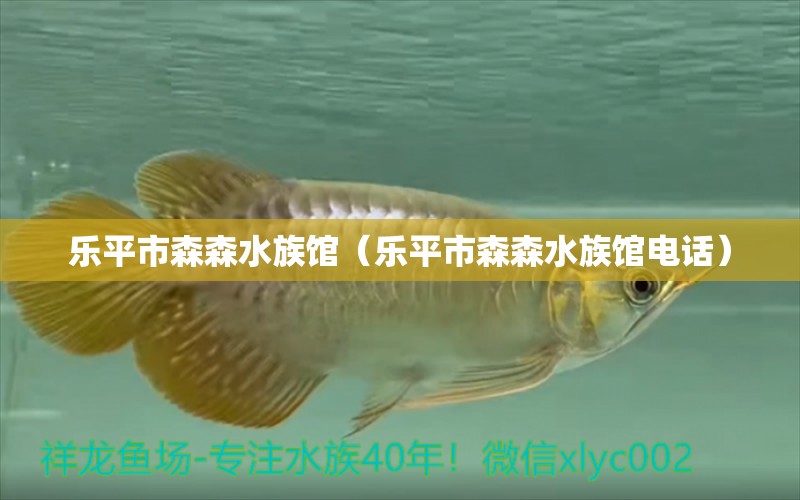 樂平市森森水族館（樂平市森森水族館電話） 全國水族館企業(yè)名錄