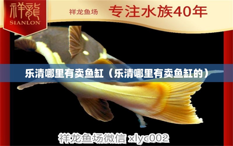 樂(lè)清哪里有賣(mài)魚(yú)缸（樂(lè)清哪里有賣(mài)魚(yú)缸的） 祥龍水族醫(yī)院