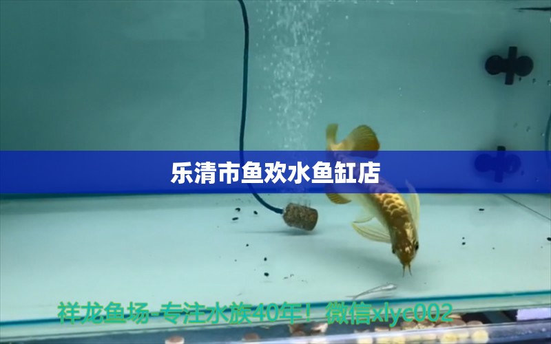 樂(lè)清市魚(yú)歡水魚(yú)缸店 全國(guó)水族館企業(yè)名錄