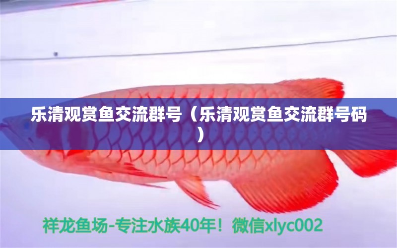 樂清觀賞魚交流群號（樂清觀賞魚交流群號碼） 觀賞魚市場（混養(yǎng)魚）