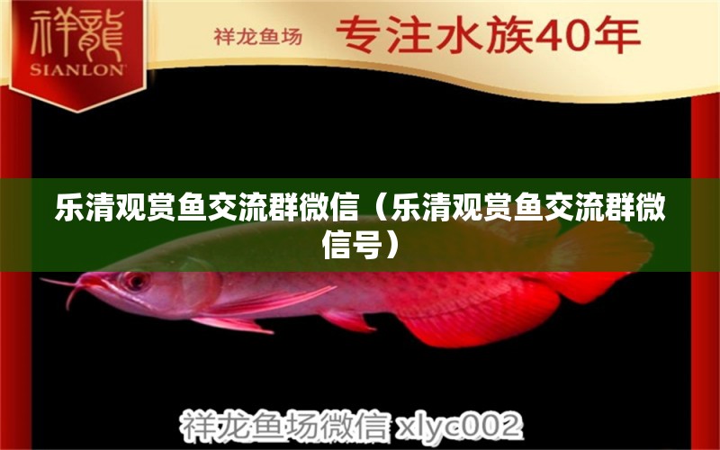 樂(lè)清觀賞魚交流群微信（樂(lè)清觀賞魚交流群微信號(hào)）