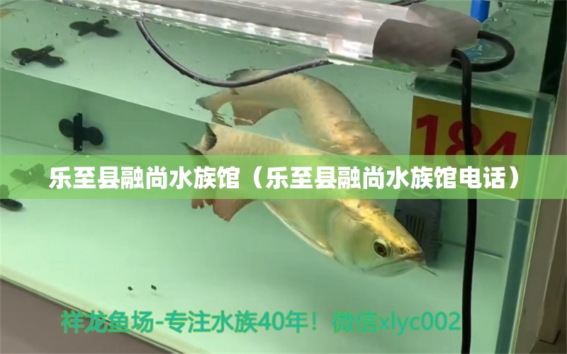 樂至縣融尚水族館（樂至縣融尚水族館電話） 全國水族館企業(yè)名錄