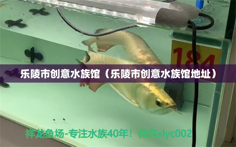 樂陵市創(chuàng)意水族館（樂陵市創(chuàng)意水族館地址）