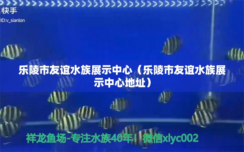 樂陵市友誼水族展示中心（樂陵市友誼水族展示中心地址）