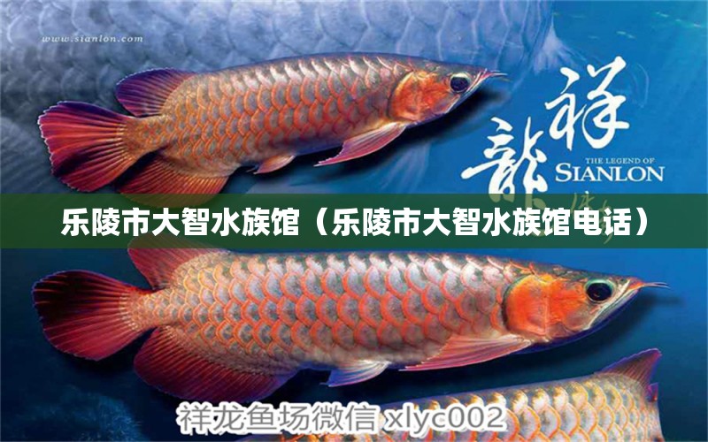 樂(lè)陵市大智水族館（樂(lè)陵市大智水族館電話）