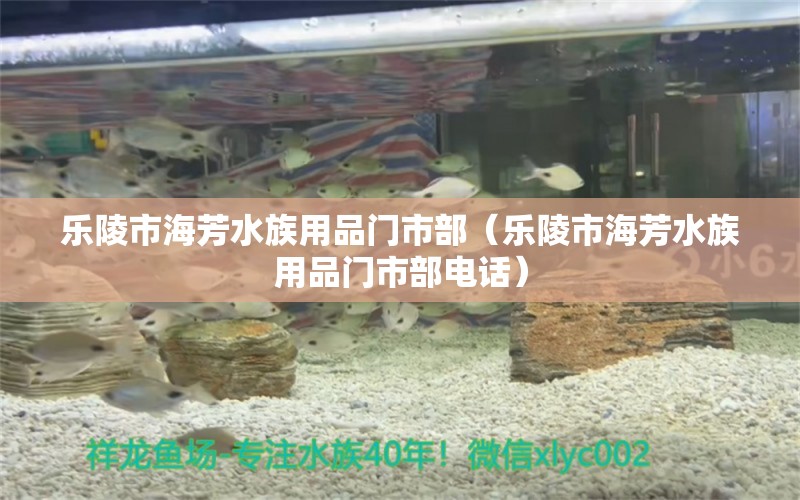 樂陵市海芳水族用品門市部（樂陵市海芳水族用品門市部電話） 水族用品