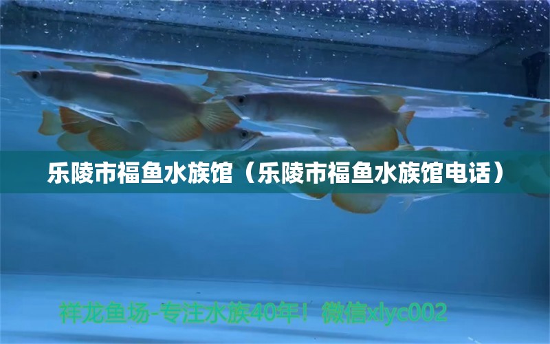 樂陵市福魚水族館（樂陵市福魚水族館電話） 全國水族館企業(yè)名錄