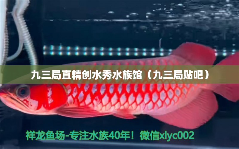 九三局直精創(chuàng)水秀水族館（九三局貼吧）