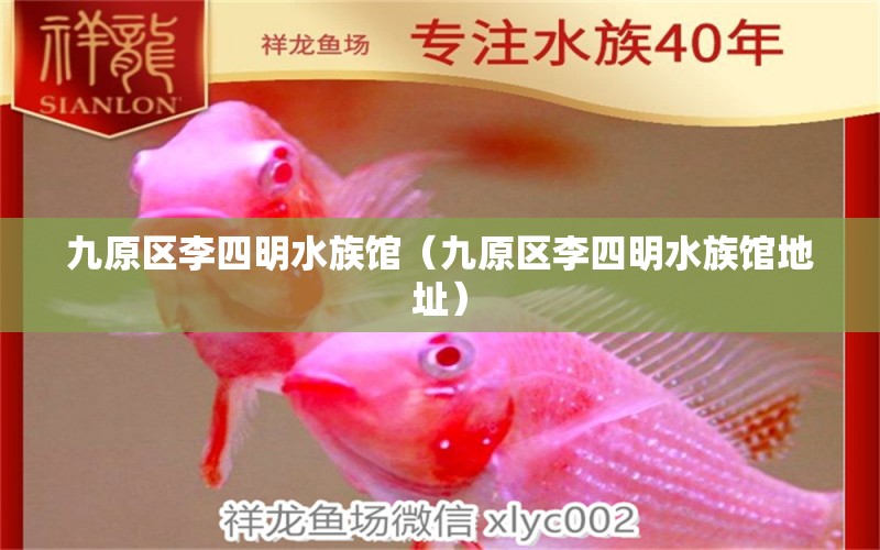 九原區(qū)李四明水族館（九原區(qū)李四明水族館地址） 羽毛刀魚苗