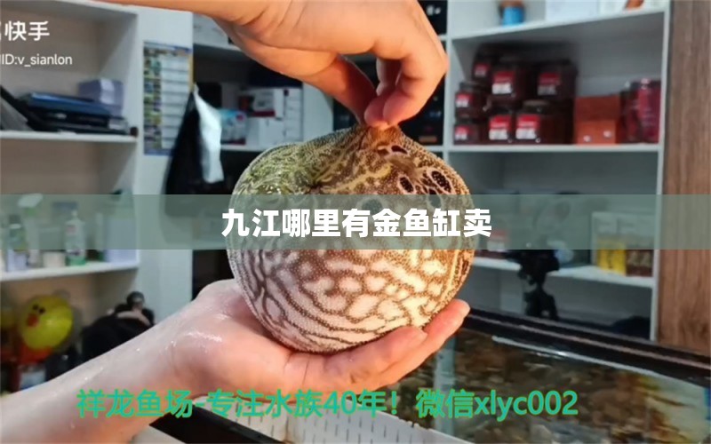 九江哪里有金魚缸賣