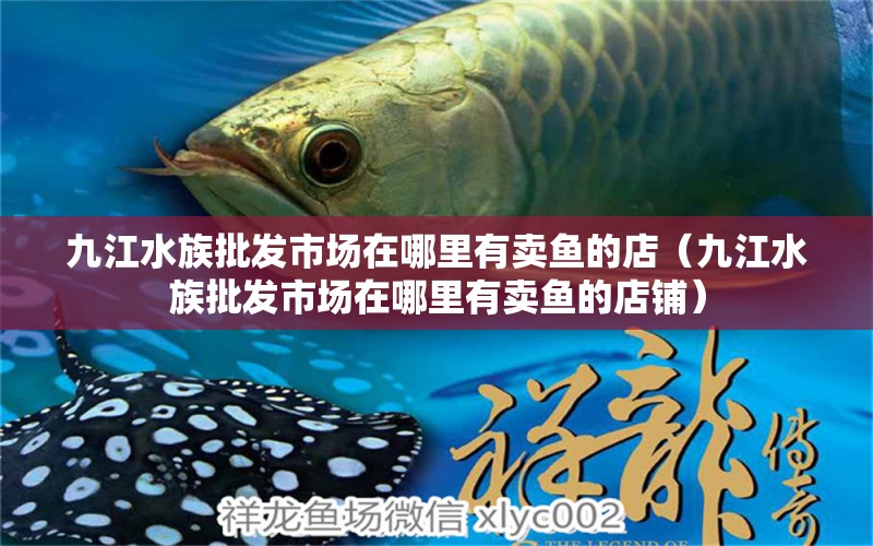 九江水族批發(fā)市場在哪里有賣魚的店（九江水族批發(fā)市場在哪里有賣魚的店鋪） 觀賞魚水族批發(fā)市場