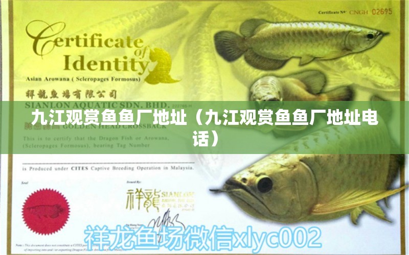 九江觀賞魚魚廠地址（九江觀賞魚魚廠地址電話） 量子養(yǎng)魚技術(shù)