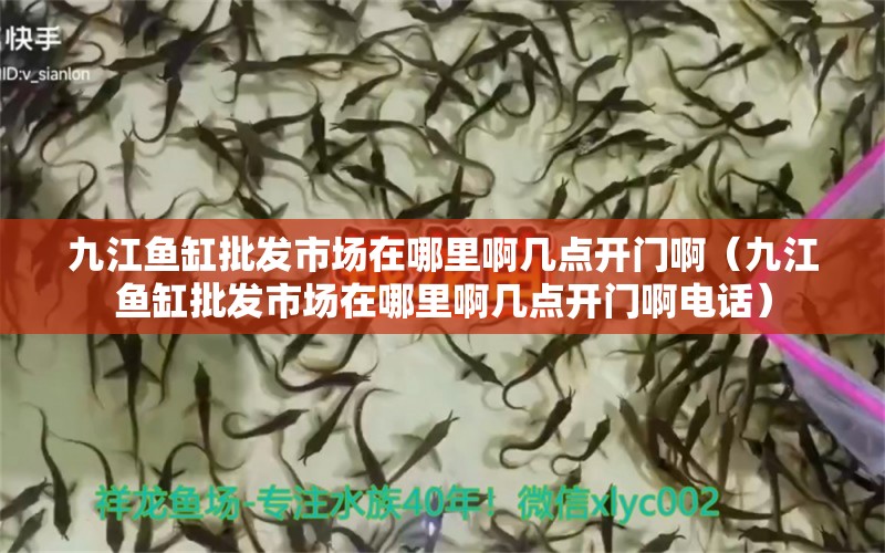 九江魚缸批發(fā)市場(chǎng)在哪里啊幾點(diǎn)開門啊（九江魚缸批發(fā)市場(chǎng)在哪里啊幾點(diǎn)開門啊電話） 黑白雙星