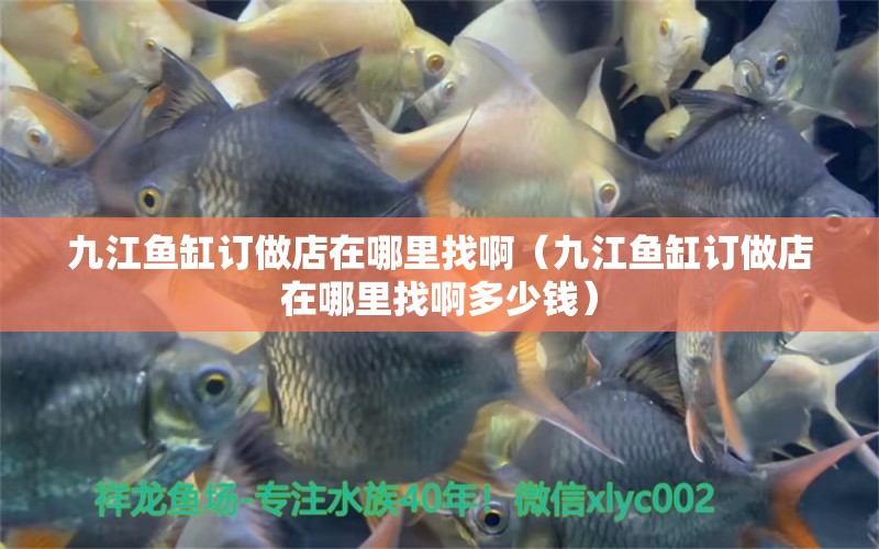 九江魚缸訂做店在哪里找?。ň沤~缸訂做店在哪里找啊多少錢）