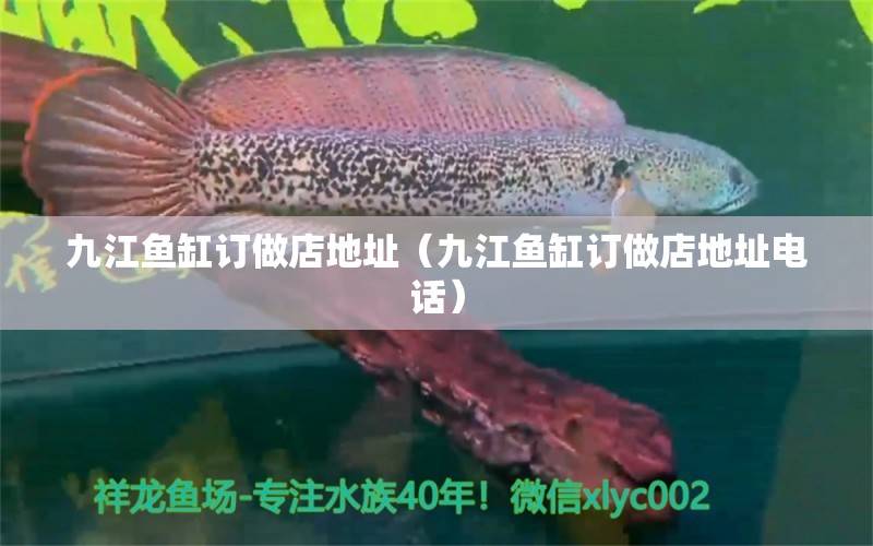 九江魚缸訂做店地址（九江魚缸訂做店地址電話）