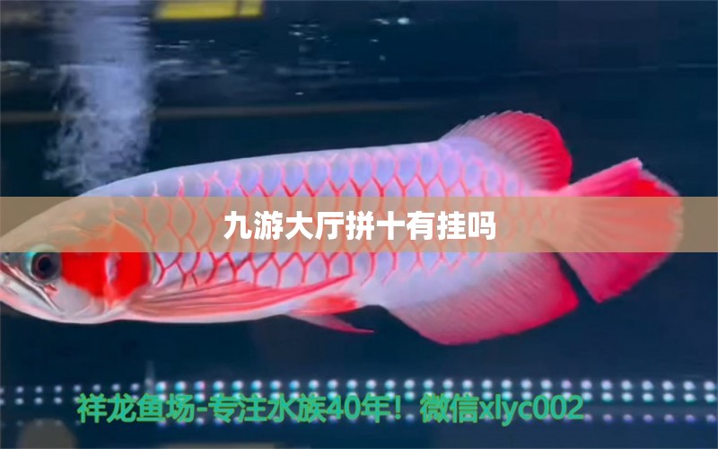 九游大廳拼十有掛嗎 圖騰金龍魚