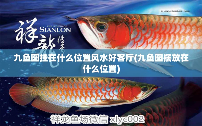 九魚圖掛在什么位置風水好客廳(九魚圖擺放在什么位置) 魚缸風水