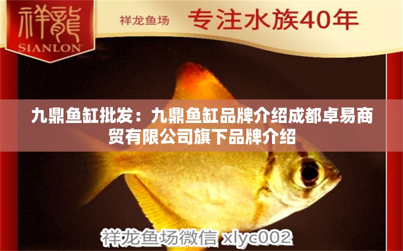 九鼎魚缸批發(fā)：九鼎魚缸品牌介紹成都卓易商貿(mào)有限公司旗下品牌介紹 龍魚百科 第1張