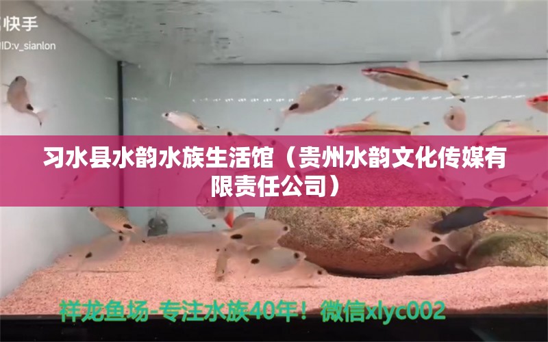 習(xí)水縣水韻水族生活館（貴州水韻文化傳媒有限責(zé)任公司） 全國(guó)水族館企業(yè)名錄