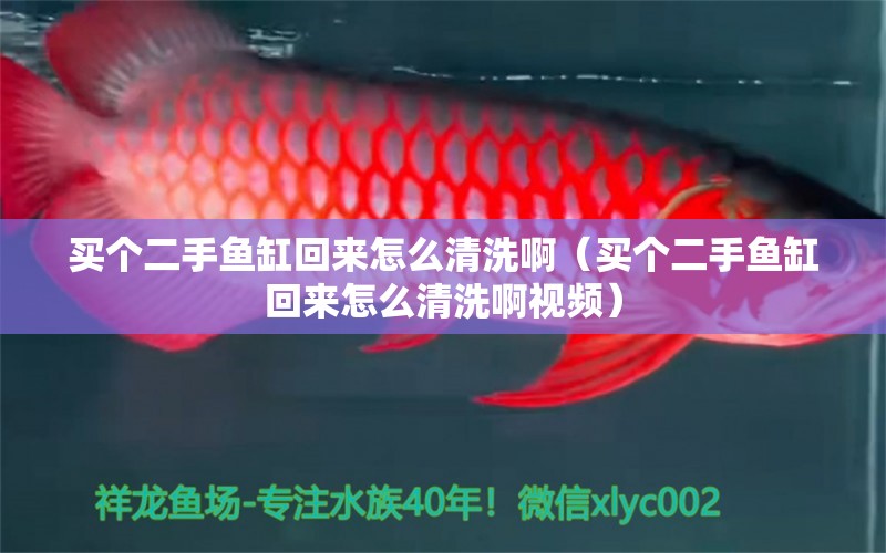 買個(gè)二手魚缸回來怎么清洗?。ㄙI個(gè)二手魚缸回來怎么清洗啊視頻）