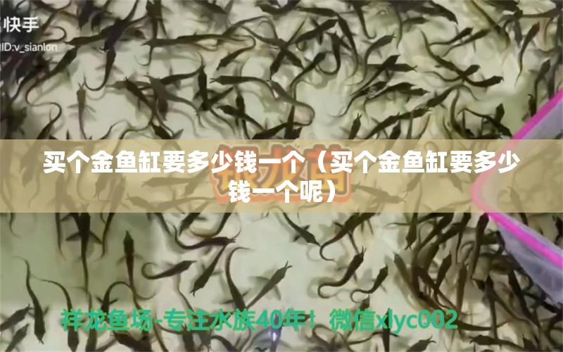 買個(gè)金魚缸要多少錢一個(gè)（買個(gè)金魚缸要多少錢一個(gè)呢） 錦鯉池魚池建設(shè)