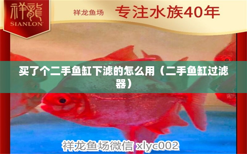 買了個(gè)二手魚缸下濾的怎么用（二手魚缸過濾器）