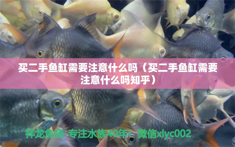 買二手魚缸需要注意什么嗎（買二手魚缸需要注意什么嗎知乎） 祥龍水族醫(yī)院