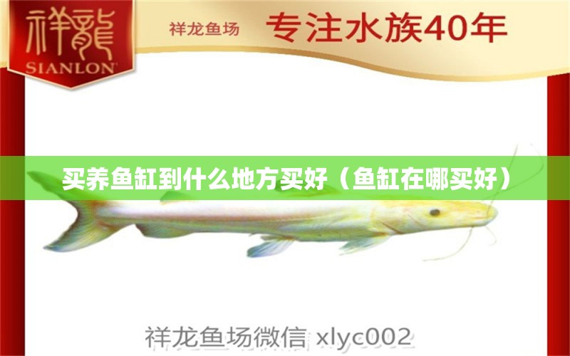 買養(yǎng)魚缸到什么地方買好（魚缸在哪買好） 觀賞魚批發(fā)