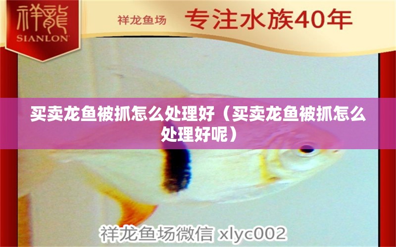 買賣龍魚被抓怎么處理好（買賣龍魚被抓怎么處理好呢）