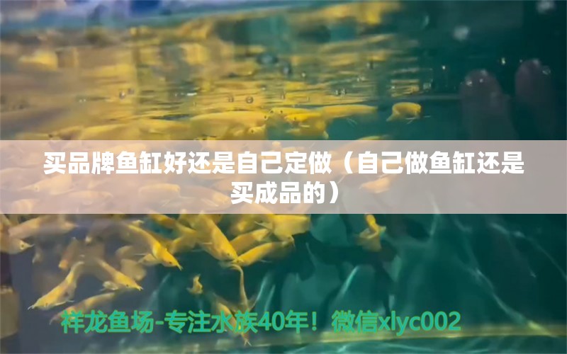 買(mǎi)品牌魚(yú)缸好還是自己定做（自己做魚(yú)缸還是買(mǎi)成品的）