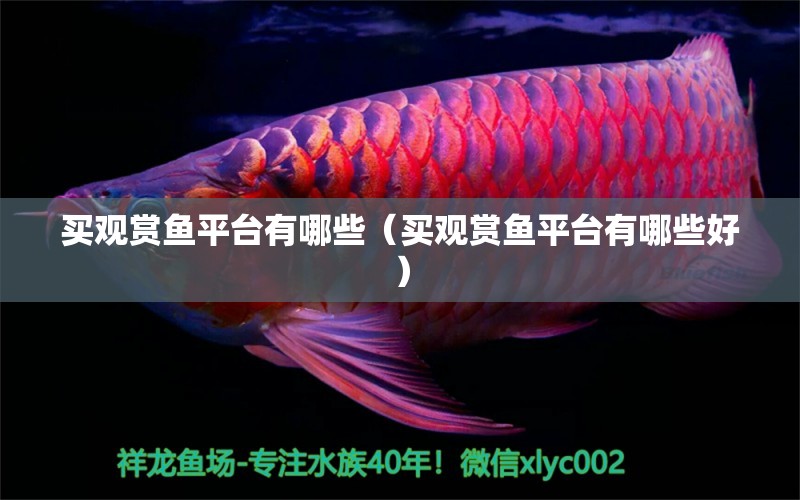 買觀賞魚平臺有哪些（買觀賞魚平臺有哪些好）