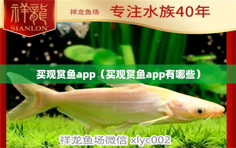 買觀賞魚app（買觀賞魚app有哪些） 網(wǎng)上購買觀賞魚