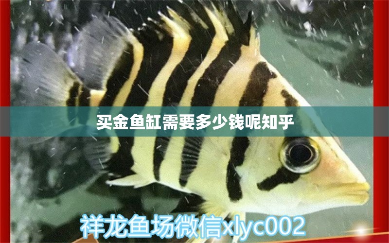 買金魚缸需要多少錢呢知乎