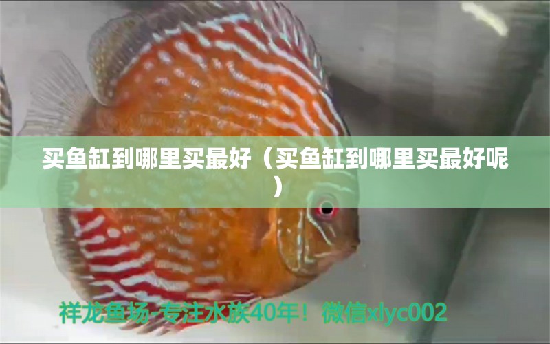 買魚缸到哪里買最好（買魚缸到哪里買最好呢）