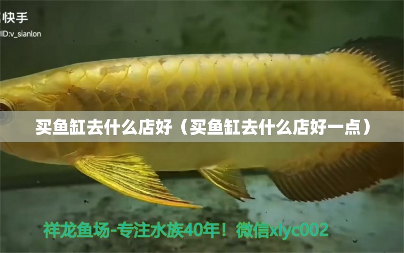 買(mǎi)魚(yú)缸去什么店好（買(mǎi)魚(yú)缸去什么店好一點(diǎn)）