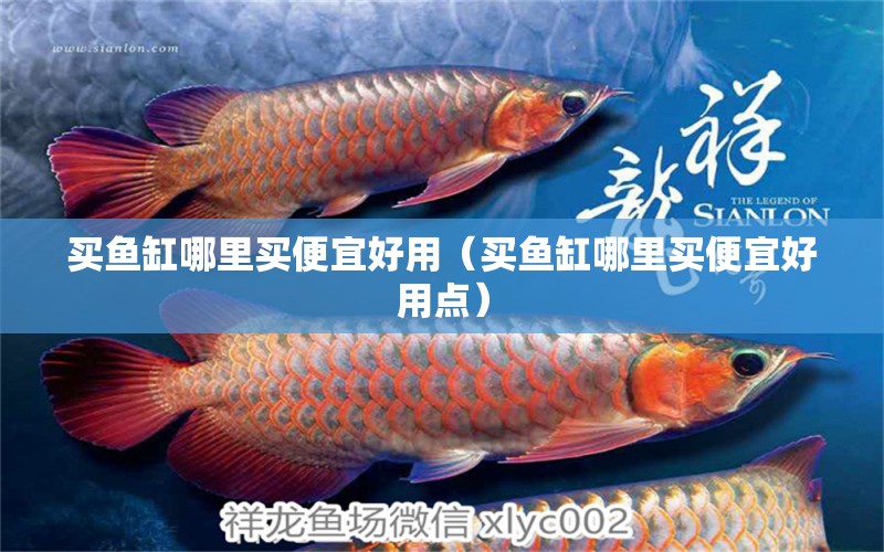 買魚缸哪里買便宜好用（買魚缸哪里買便宜好用點(diǎn)） 新加坡三巴旺