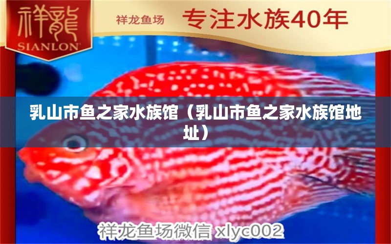 乳山市魚(yú)之家水族館（乳山市魚(yú)之家水族館地址） 全國(guó)水族館企業(yè)名錄